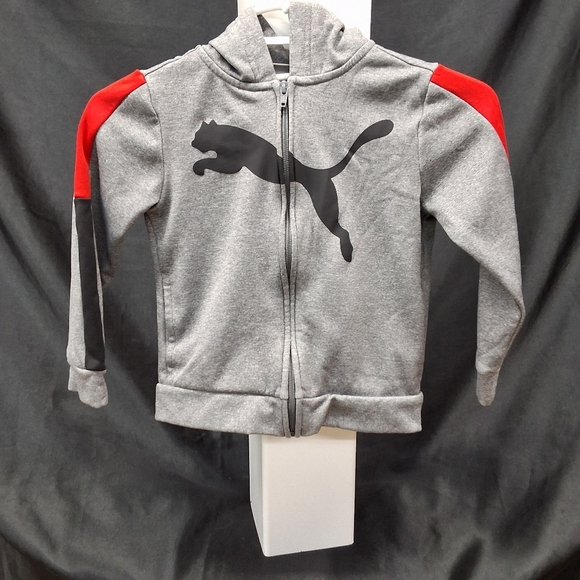 Puma Kids Gray and Red Hoodie - Picture 1 of 12